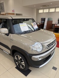 即納車あります！